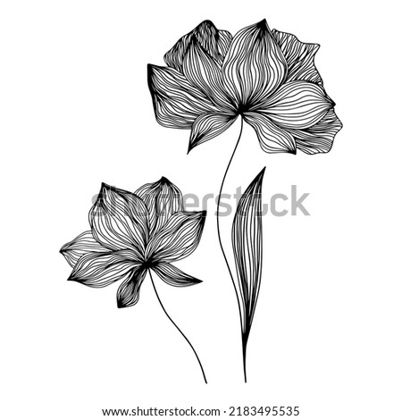 Black vector flowers on a white background