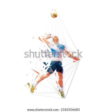 Volleyball player serves the ball, jump serve, abstract isolated low polygonal vector illustration, front view. Volleyball hitter, geometric drawing from triangles