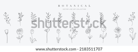 Set botanical hand drawn vector element. Collection of foliage, leaf branch, floral, flowers, roses, lily in line art. Minimal style blossom illustration design for logo, wedding, invitation, decor. Royalty-Free Stock Photo #2183511707