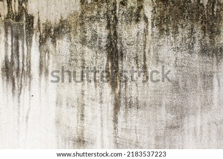 Close up abstract wet fungus facade house cement wall Royalty-Free Stock Photo #2183537223