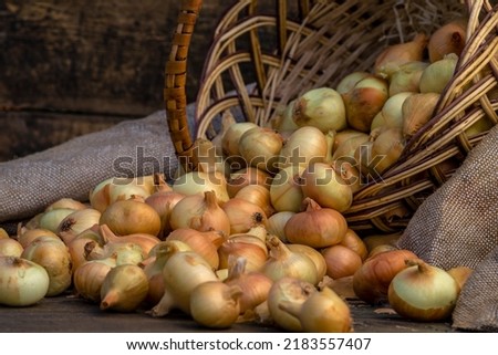 Fresh Red onion in basket on wooden table, top view, Organic food brown slices, still life rustic  raw cutting board outside wicker basket Bulb Food Ingredients local farmers market store