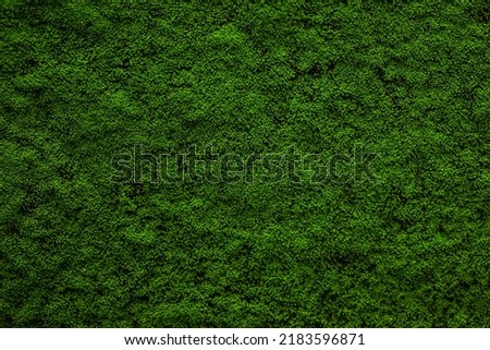 India, 12 July, 2022 : Moss background, green moss background, Green background, Moss, Background, Wallpaper, Texture. Royalty-Free Stock Photo #2183596871