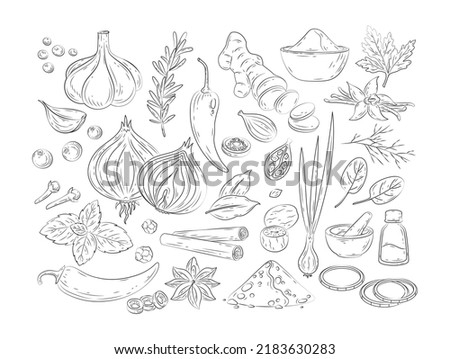 Spices and herbs. Vector set of hand drawn kitchen herbs with vanilla,  anise, ginger, cinnamon, curry, basil, garlic, pepper, rosemary. Popular indian spices in doodle style for menu, pattern, banner Royalty-Free Stock Photo #2183630283