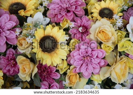 beautiful multicolored flowers for decoration
lots of nature