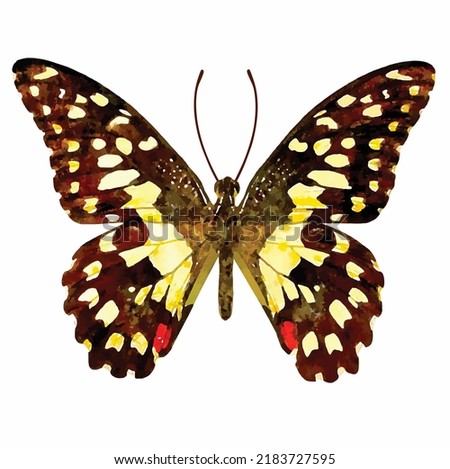 Papilio demoleus. Wild butterfly on white background. Colorful butterfly vector picture. Entomology collection. Aquarelle style decoration. Picture for logo, designers and greeting cards.