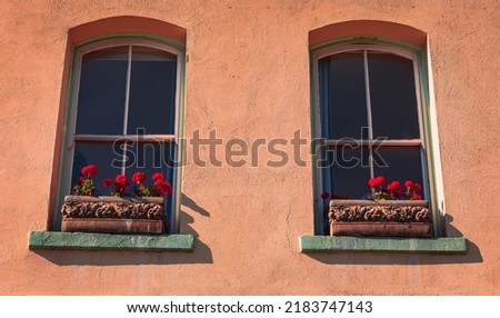 Two window on pink cement concrete wall decorated with flowers in box on window sill. Colourful red flower plant on a window sill.