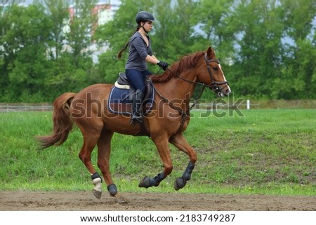 Equestrian woman galloping sport thoroughbred horse in the farm Royalty-Free Stock Photo #2183749287