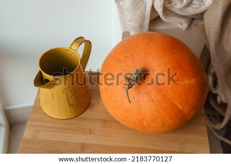 Autumn interior in a photo studio, with pumpkins, a vase and a wooden stool.