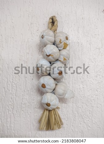 White garlic branch in wall mounted set closeup photo. Seasoning image as a wall decoration or to scare away evil eye, spells or vampires.