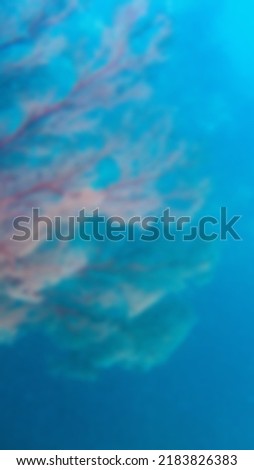 Coral reef blur defocus abstract background images, Defocus abstract background of the coral reef