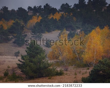 Landscape of Mountains forest after Sunset in Autumn or Fall. Fantastic sunset in the mountains landscape with sunny beams and clouds