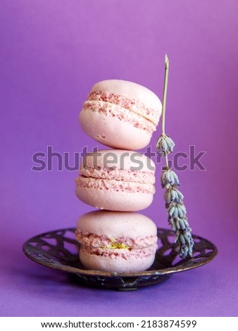 tower of pink pastel macaroons close-up on metal vintage plate on bright purple background with lavender flower, Stack of three pink strawberry raspberry cookies. Vertical