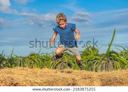 Front view Boy want jumping on haystack bales hay, frozen motion in air. Clear blue sky sun day. Outdoor kid children summer leisure activities. Concept happy childhood care. Physical activity