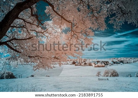 infrared photography summer tree style winter landscape
