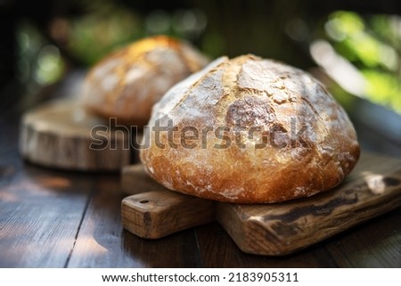 Traditional leavened sourdough bread with rought skin on a rustic wooden table. Healthy food photography