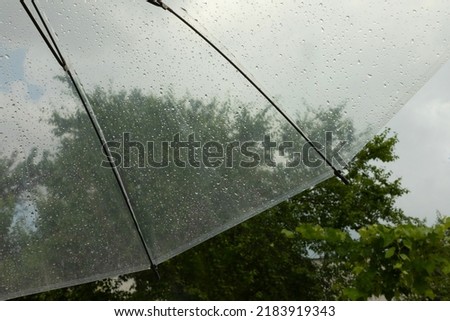 A transparent umbrella against a stormy sky and greenery. Summer rain.Thunderstorm.