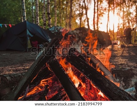 Burning campfire in a forest. Bonfire close up. Autumn relax camping mood. The firewood is red-hot. 