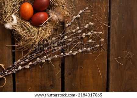 Painted Easter chicken eggs in a nest and willow branches. Holiday Easter concept background. Copy space