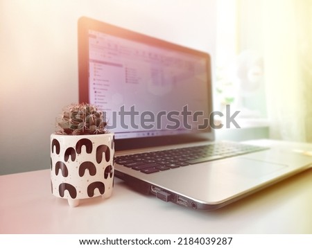 Laptop and cactus on white table