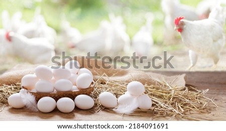 Basket of chicken eggs on a wooden table in the chicken farm Royalty-Free Stock Photo #2184091691