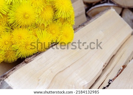 Bouquet of yellow dandelions on the fence.