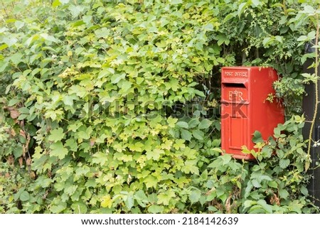 uk Red post office mail box surrounded by shrubs copy space 