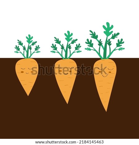 Set of carrots with stalk in flat style. Sweet carrot. Carrot growth cycle. Carrots in the ground. Set of carrots with stalk in flat style. Vector carrot with a smile and eyes.