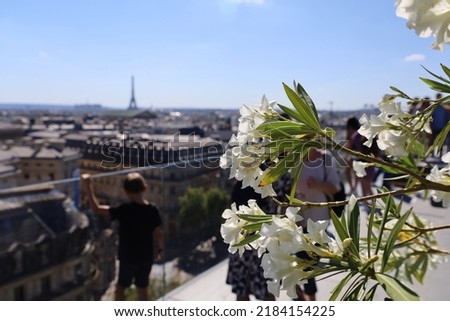 panoramic view over the roofs of Paris