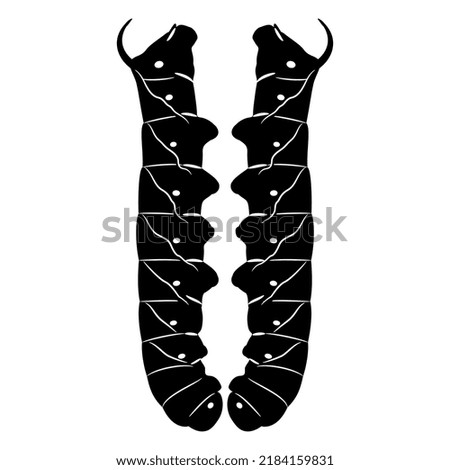Symmetrical design with two caterpillars of a privet hawk moth. Sphinx ligustri. Psilogramma menephron. Black and white silhouette.