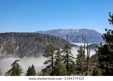 View of San Bernardino National Forest Mountains above a sea of clouds.