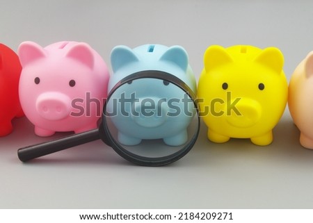 Review investments and savings funds. Magnifying glass and many piggy banks on gray background.