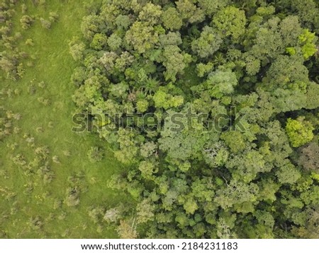Mosaic landscape of forest and swamp ecosystems in the Salawati Island nature reserve. All of these photos ( 92 photos) are perfect for making maps from drones.