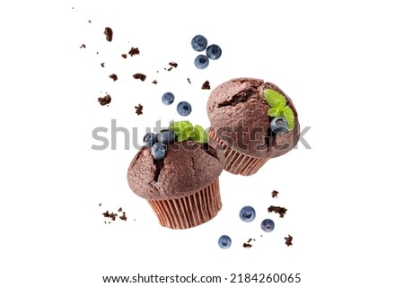Fresh baked two chocolate muffins with blueberry berries, crumbs and mint leaves flying on white background. Sweet cupcake falling. Pastry card with copy space Royalty-Free Stock Photo #2184260065