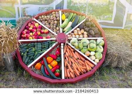Colorful sellection of fruits apples, berries, nuts and vegetables , cucumber, cabbage, carrots, potatoes, in an old wooden carriage wheel Royalty-Free Stock Photo #2184260413