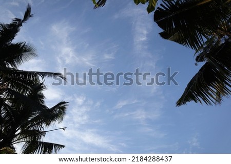 A picture of a blue sky with coconut trees as the foreground