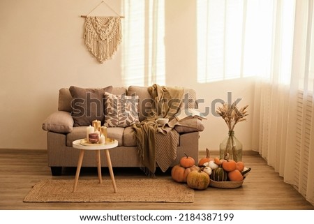 Bunch of pumpkins of different kinds, shapes and colors on the floor and a table, open book and cup of coffee. Symbol of autumnal holidays with a lot of copy space for text, close up, background.