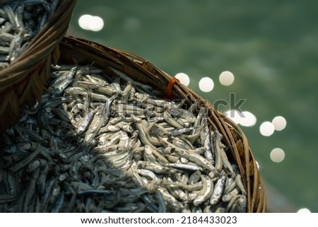 Fresh Anchovy, Fish-stock on a bamboo tray. selective focus