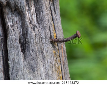 Rusty nails in wooden fence.