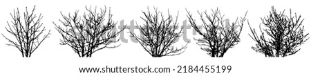 Bare bush, set of silhouettes. Vector illustration Royalty-Free Stock Photo #2184455199