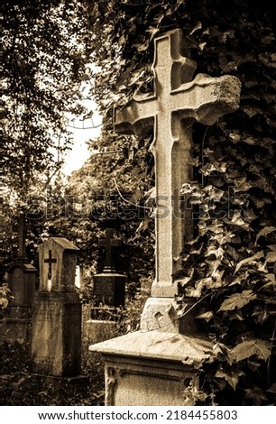 old gravestone at a cemetery - photo