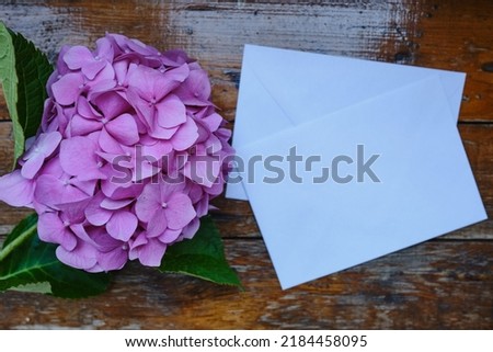 Greeting card mockup on wooden background with pink hydrangea. Empty envelope and place for text. Greeting card. Postal service. Pink flowers on wooden background