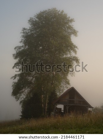 Misty foggy morning near old forester's house and lonely silver birch tree Royalty-Free Stock Photo #2184461171