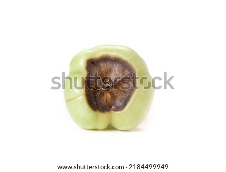 Roadster tomato with blossom end rot. Bottom view or unripe green tomato fruit with dark brown large spot or decay from a calcium deficiency. Non-fungal environmental tomato disease. Isolated on white Royalty-Free Stock Photo #2184499949