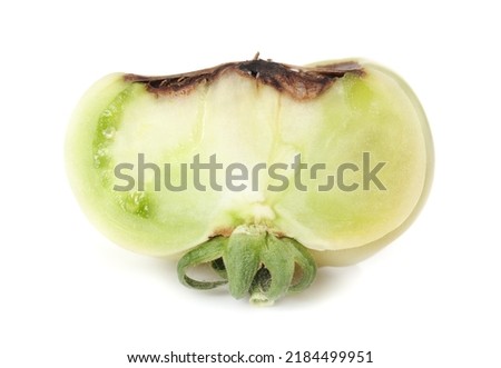 Slice of tomato with blossom end rot disease. Isolated cross-section of unripe roadster tomato with rotten brown section from lack of calcium. Physiological disorder in tomato plants. White background Royalty-Free Stock Photo #2184499951