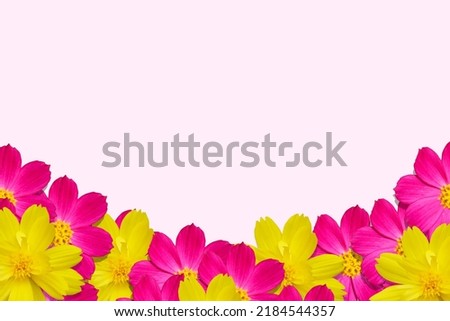 Pink and yellow flowers are arranged on a soft pink background.