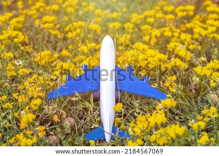 toy suitcase or airplane on yellow flowers field.sunny day.piggy bank suitcase shape.financial concept,save money for travel,trip.book a ticket,fly,up in the sky.vacation adventure.white and blue