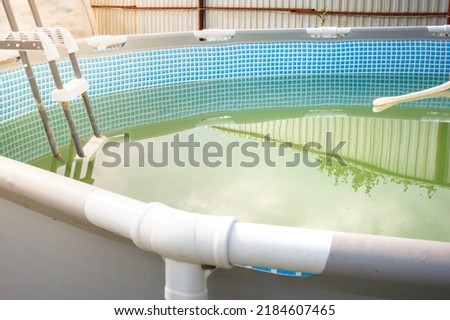 Above ground pool with a problem of green algae (chlorophyta) in the water.