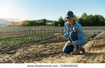 Farmer woman working with tablet on cabbage field. agronomist with tablet studying cabbage harvest growing on dry field.  Agriculture climate change concept image