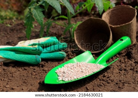 Works in the garden. Granular fertilizer, gloves and garden tools on the ground before planting plants by the gardener. dosing, top-dressing Royalty-Free Stock Photo #2184630021