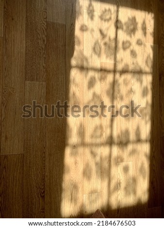 shadow from curtains on the floor